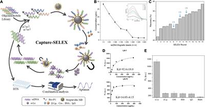 In vitro selection and optimization of high-affinity aptamer for milk allergen α-lactalbumin and its application in dual-mode detection